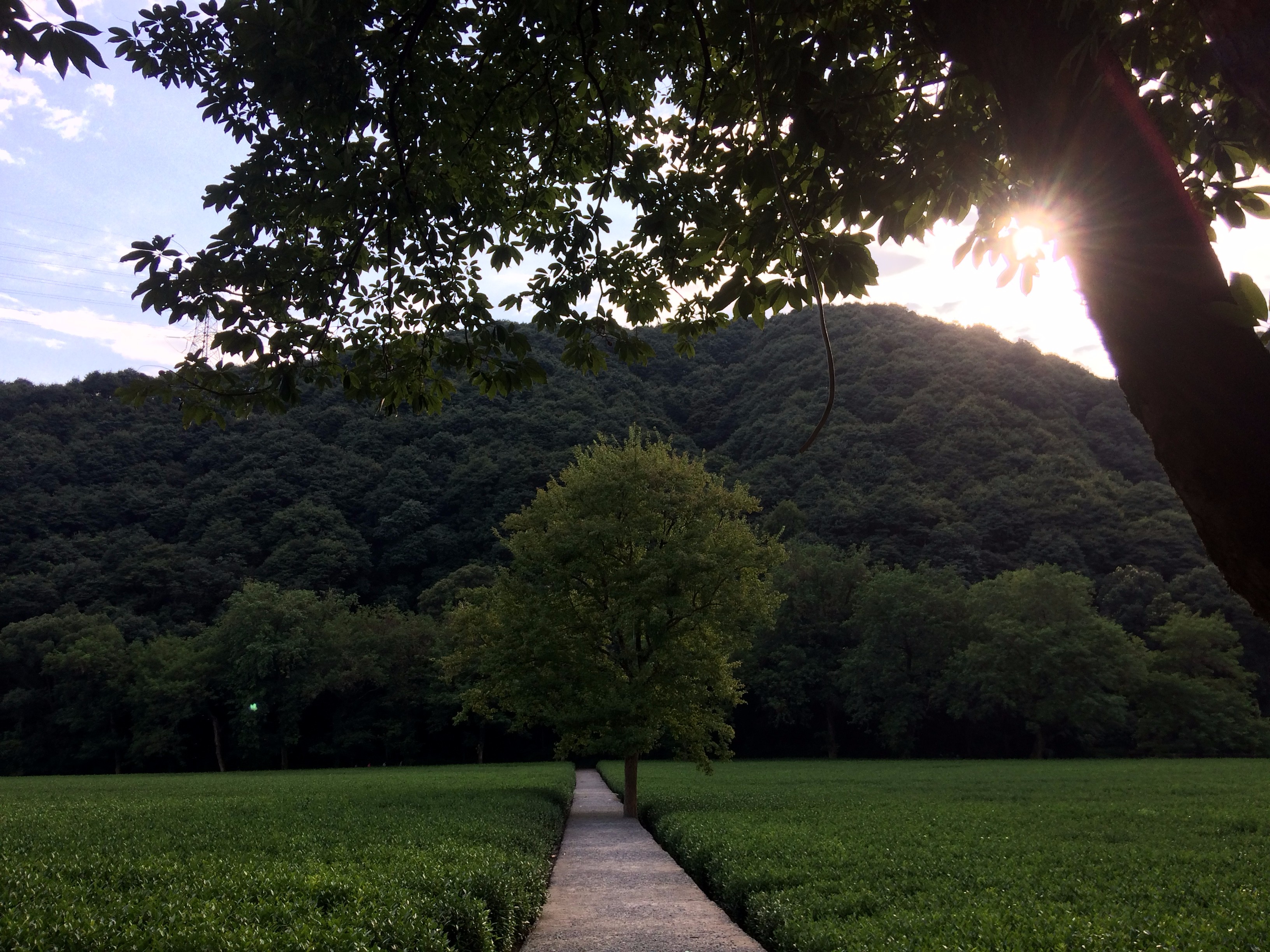 1536819944696795.jpg 1536819944696795.jpg