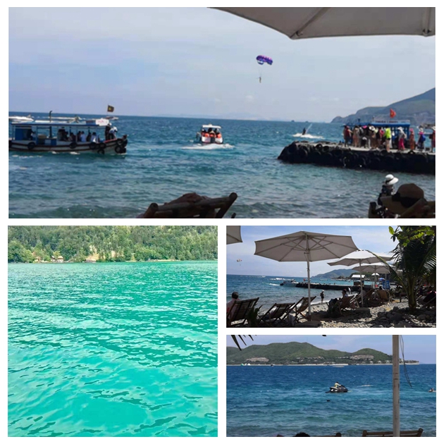 1542959764330512.jpg 1542959764330512.jpg