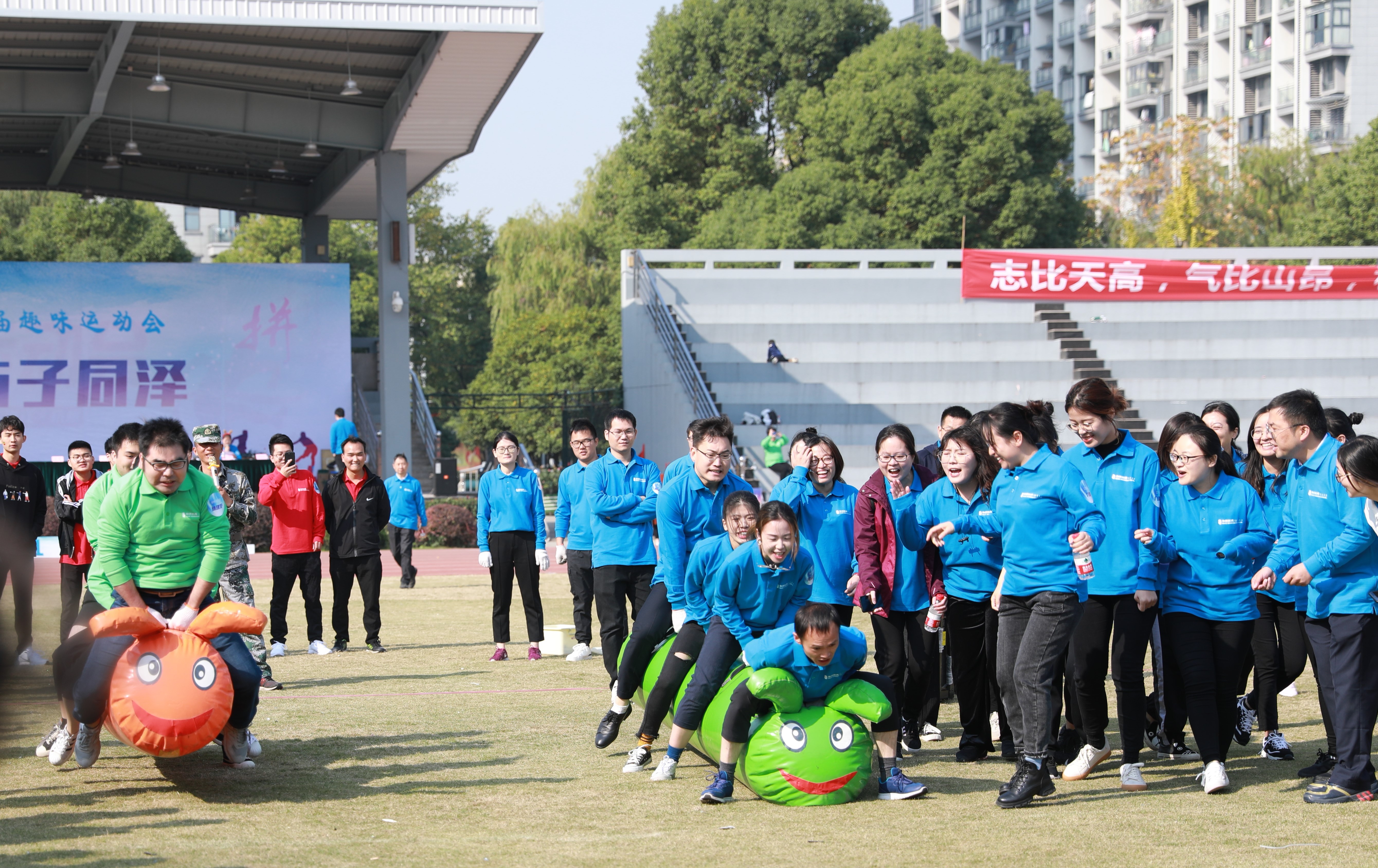 1574075264607064.jpg 綠毛.jpg