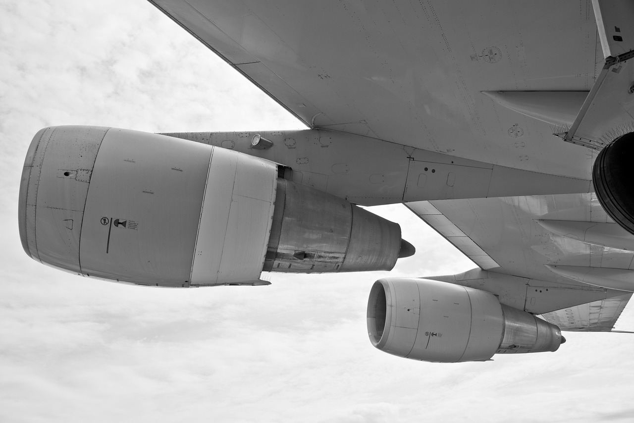 旅游股上漲 達美航空業(yè)績展望顯示需求反彈
